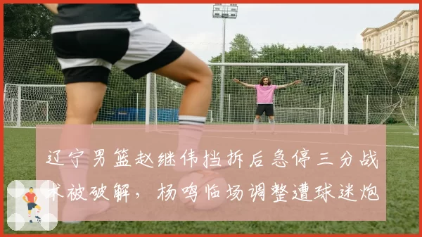 辽宁男篮赵继伟挡拆后急停三分战术被破解，杨鸣临场调整遭球迷炮轰