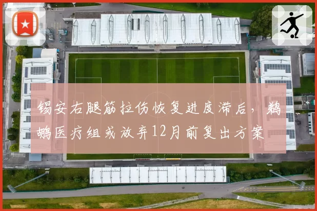 锡安右腿筋拉伤恢复进度滞后，鹈鹕医疗组或放弃12月前复出方案