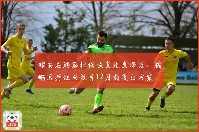 锡安右腿筋拉伤恢复进度滞后，鹈鹕医疗组或放弃12月前复出方案