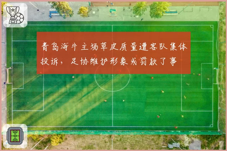 青岛海牛主场草皮质量遭客队集体投诉,足协维护形象或罚款了事