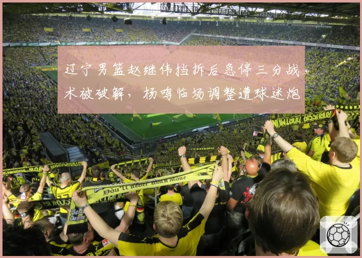 辽宁男篮赵继伟挡拆后急停三分战术被破解,杨鸣临场调整遭球迷炮轰